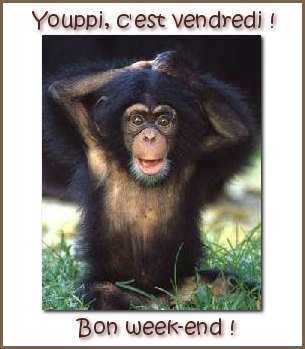 Bon Vendredi et bon week-end � tous !